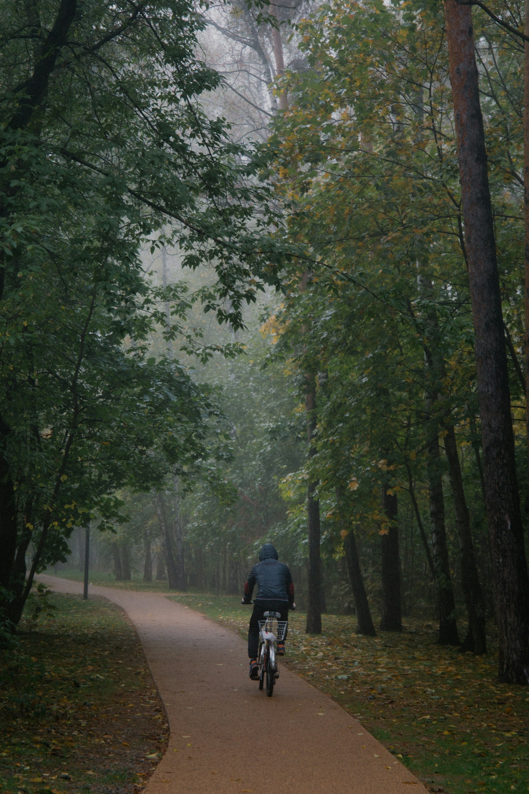 Radfahrer im Wald als Demo-Motiv